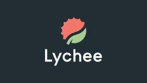 Lychee Slicer